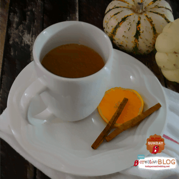 Slow Cooker Hot Mulled Cider | TodaysCreativeBlog.net