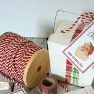 Santa’s Special Delivery Printable Tags