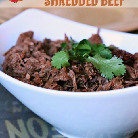 Slow Cooker Shredded Beef | TodaysCreativeblog.net