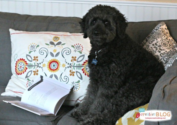 Dog Treat Recipes | Mabie Likes Shaggy Eats | TodaysCreativeBlog.net