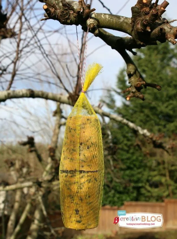 Homemade Bird Suet Recipe | TodaysCreativeblog.net