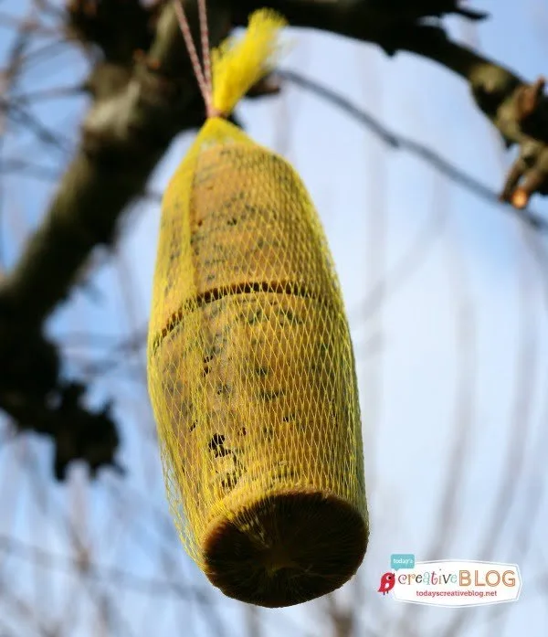 Homemade Bird Suet Recipe | TodaysCreativeblog.net