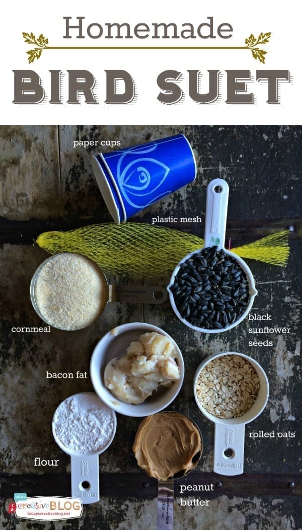 Ingredients for making bird suet