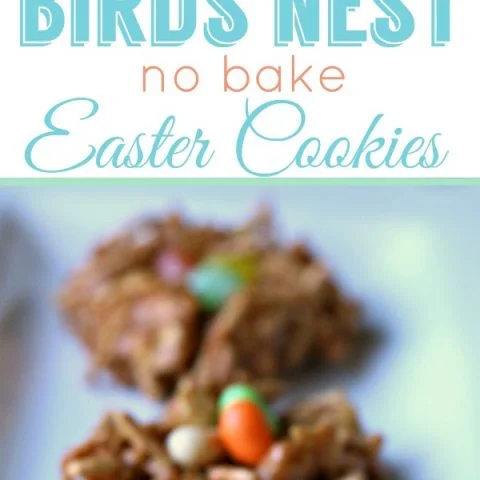 No Bake Birds Next Cookies