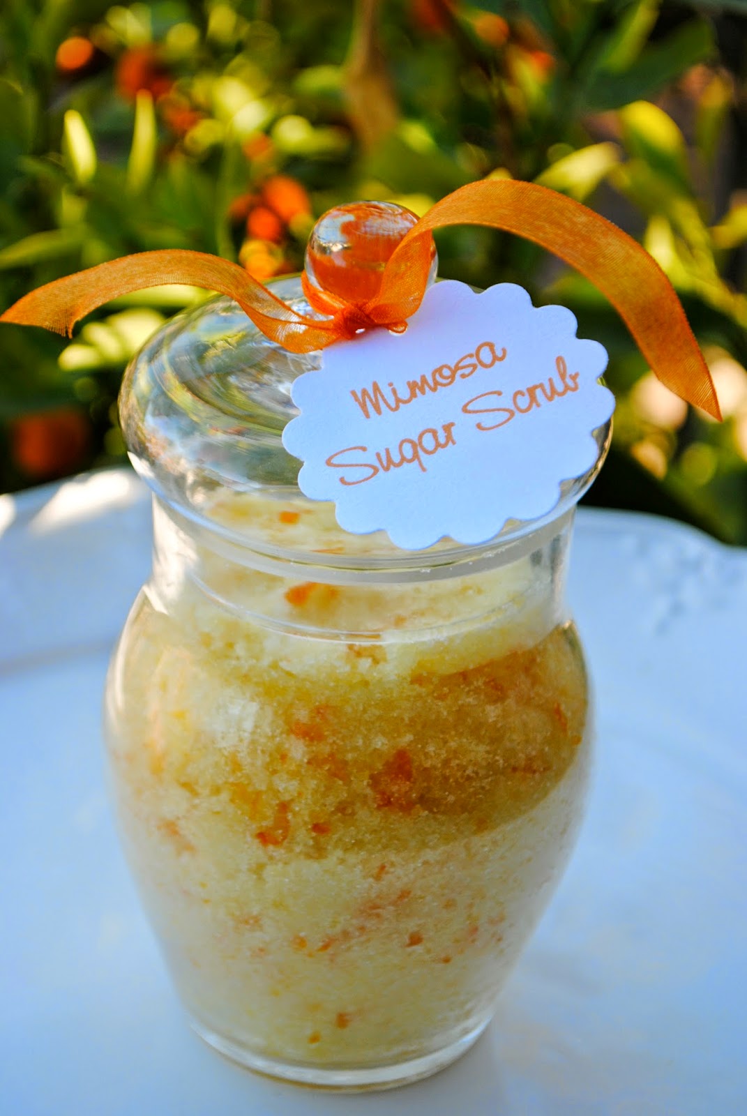 Homemade Mimosa Sugar Scrub | TodaysCreativeBlog.net