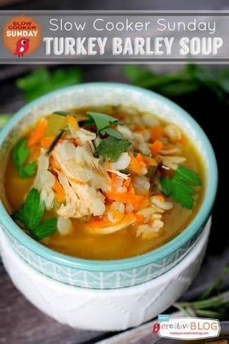 Slow Cooker Turkey Barley Soup - Today's Creative Life