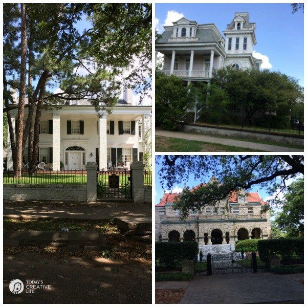 Family Friendly Ideas for New Orleans | See more creative ideas from TodaysCreativeLife.com | garden district