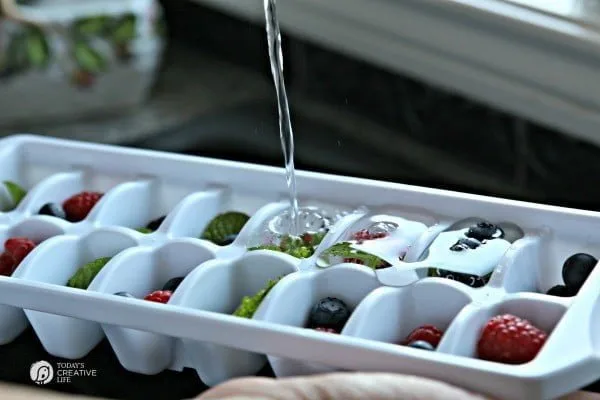 Fruit Filled Ice Cubes with Mint - Berry filled Ice cubes for fun entertaining. Great for 4th of July | See more on TodaysCreativeLife.com