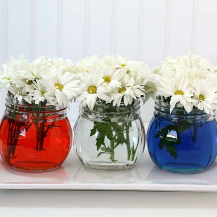 3 vases with daisies in red, clear or blue water.
