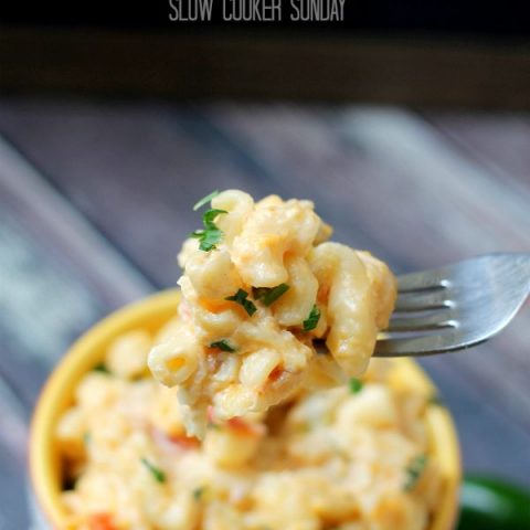 Mexican Style Slow Cooker Macaroni and Cheese