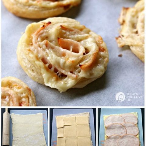 https://todayscreativelife.com/wp-content/uploads/2015/08/Turkey-and-White-Cheddar-Pinwheels-480x480.jpg