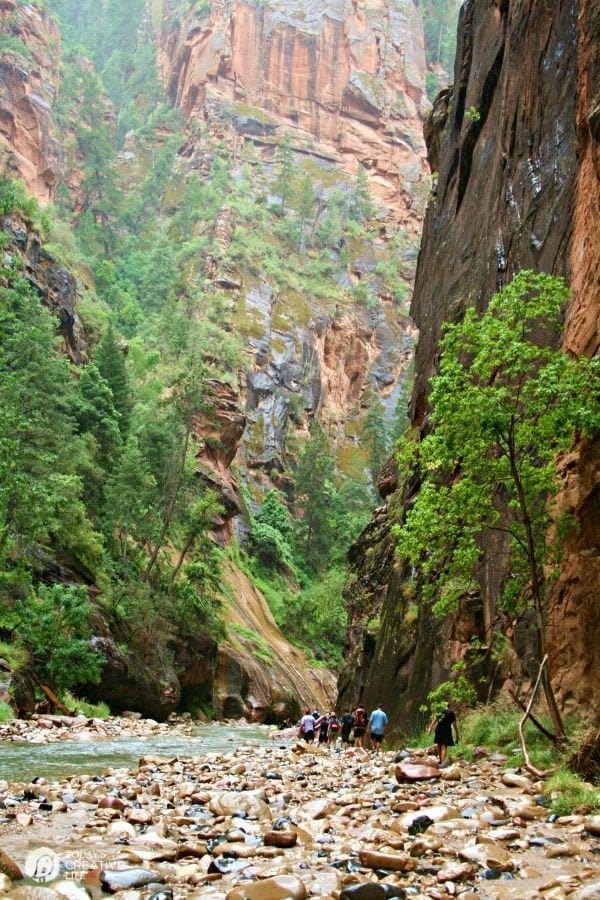 Summer Bucket List | What's on your bucket list? Zion National Park, The Narrows | TodaysCreativeLife.com