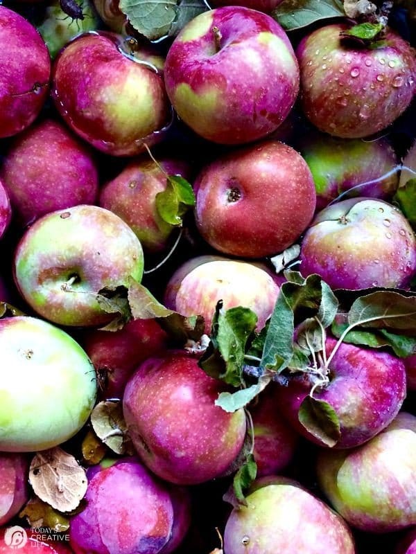 Homemade Slow Cooker Applesauce | Sweet, tangy and delicious! So easy to make using your crockpot! See more Slow Cooker Sunday Recipes on TodaysCreativeLife.com