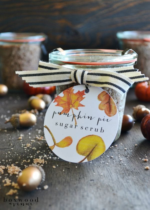 Pumpkin Pie Sugar Scrub and Free Printable - Today's Creative Life