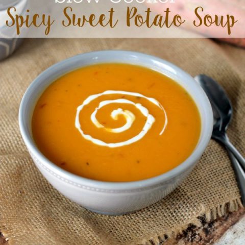 Slow Cooker Spicy Sweet Potato Soup Recipe