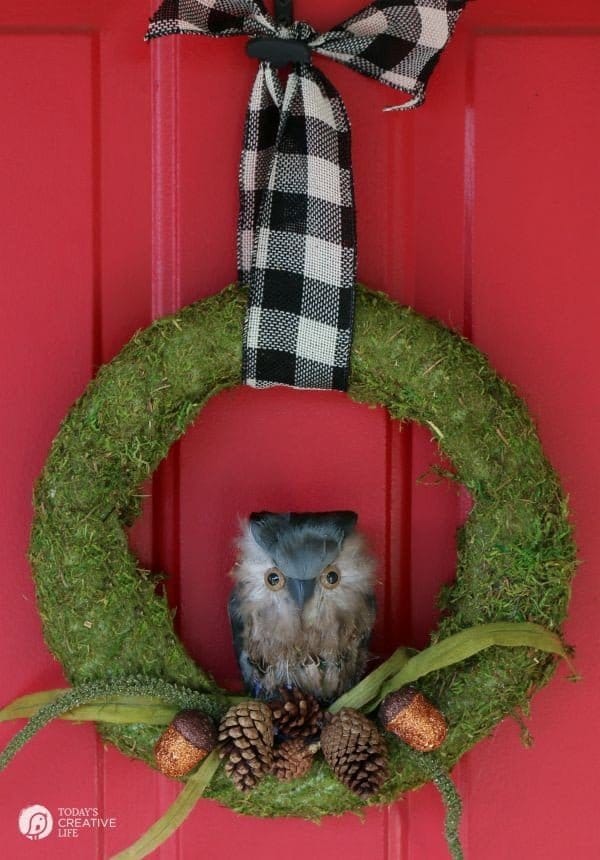 DIY Moss and Owl Wreath | Fall Ideas Tour | See more fall decorating ideas on TodaysCreativeLife.com