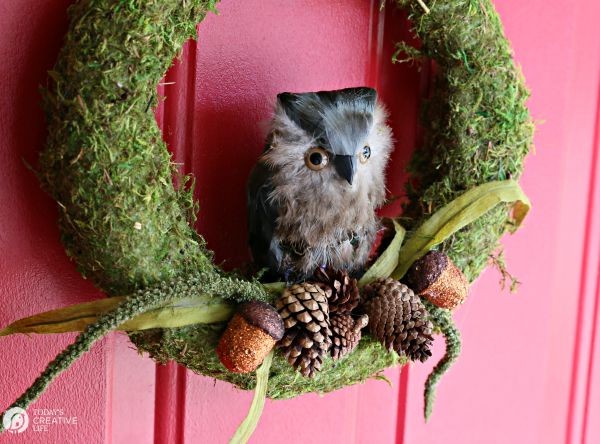 DIY Moss and Owl Wreath | Fall Ideas Tour | See more fall decorating ideas on TodaysCreativeLife.com