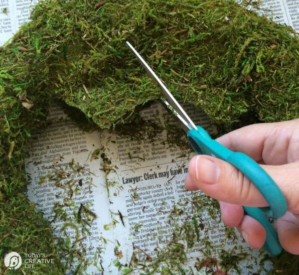 DIY Moss and Owl Wreath | Create a Fall Wreath with Sheet Moss. See the full tutorial on TodaysCreativeLife.com