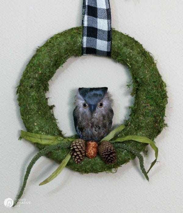 DIY Moss and Owl Wreath | Fall Ideas Tour | See more fall decorating ideas on TodaysCreativeLife.com