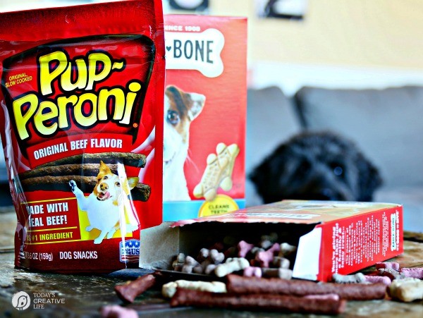 Bone Yard Pumpkin Dog Treats | Homemade Dog treats with the help of Milk-Bone | See more on TodaysCreativeLife.com