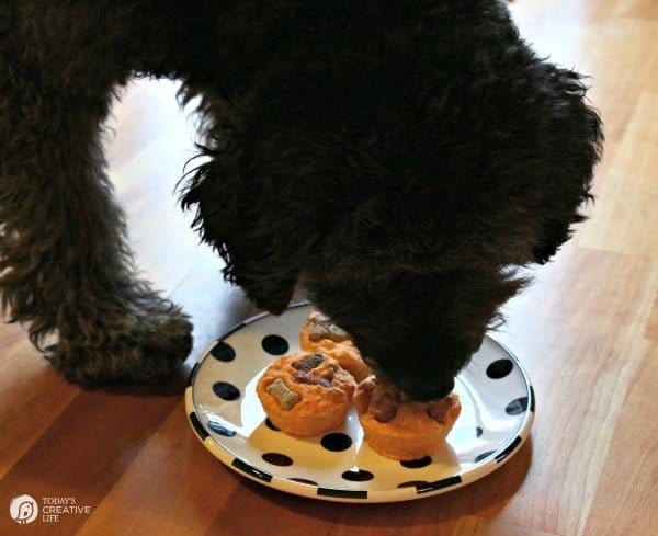 Bone Yard Pumpkin Dog Treats | Homemade Dog treats with the help of Milk-Bone | See more on TodaysCreativeLife.com