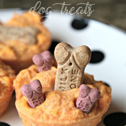 Homemade Dog Treats with pumpkin - TodaysCreativeLife.com