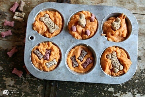 Bone Yard Pumpkin Dog Treats | Homemade Dog treats with the help of Milk-Bone | See more on TodaysCreativeLife.com