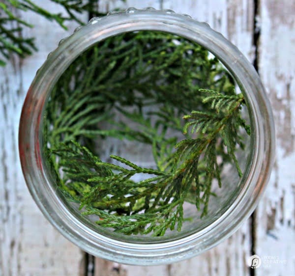 Glass jar with cedar clippings inside.