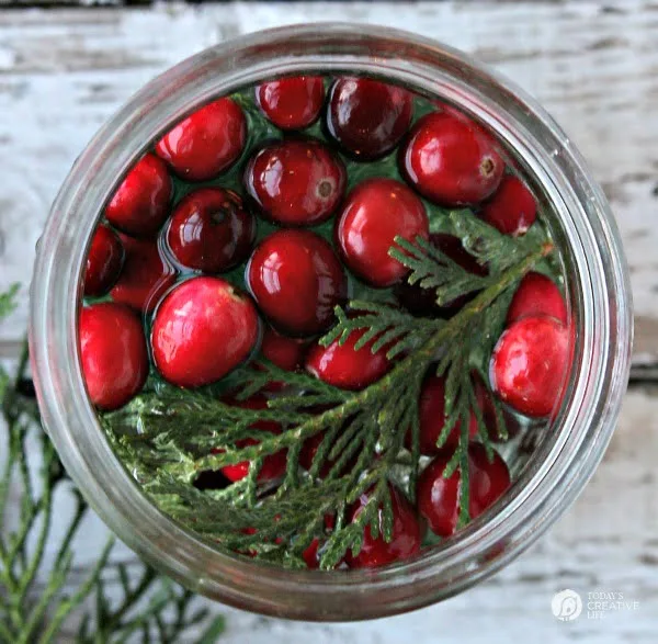 Easy Holiday Table Decor Cranberries, Cedar and Water in a jar.
