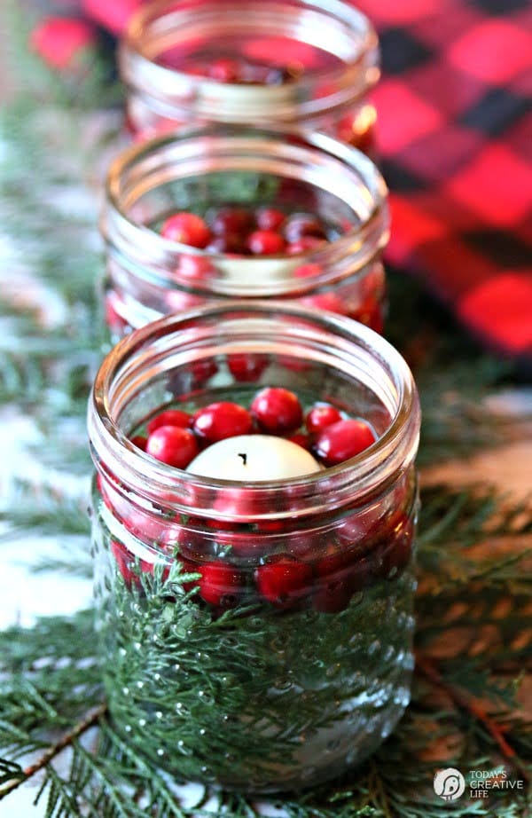 Holiday DIY Decor with Fresh Cranberries