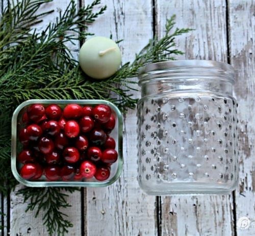 5 minute DIY Christmas luminaries | Quick and easy Christmas decorating. Whip up these floating candles with cranberries and cedar for a stunning table centerpiece. See more on TodaysCreativeLife.com