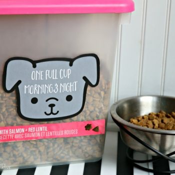 Custom Made Dog Food Container & Free Printable | Even dogs like pretty containers! See more on TodaysCreativeLife.com