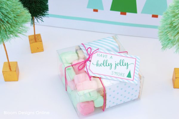 Christmas S'mores Holiday Party | Creative Girls Holiday Soiree on TodaysCreativeLife.com | Come gather a few holiday entertaining ideas, free printables and great DIY projects! 