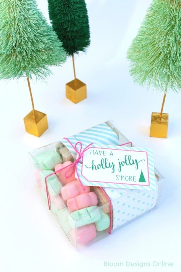 Christmas S'mores Holiday Party | Creative Girls Holiday Soiree on TodaysCreativeLife.com | Come gather a few holiday entertaining ideas, free printables and great DIY projects! 