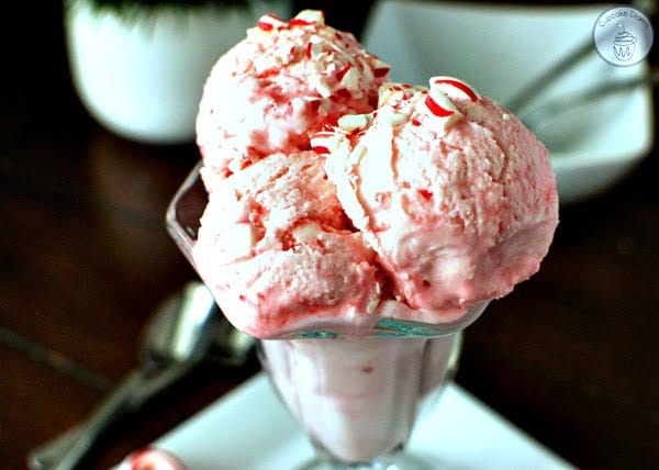 Candy Cane Ice Cream in a Bag Recipe