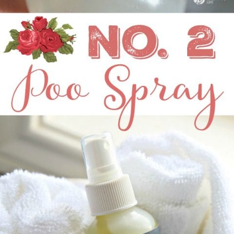 Homemade No.2 Poo Spray