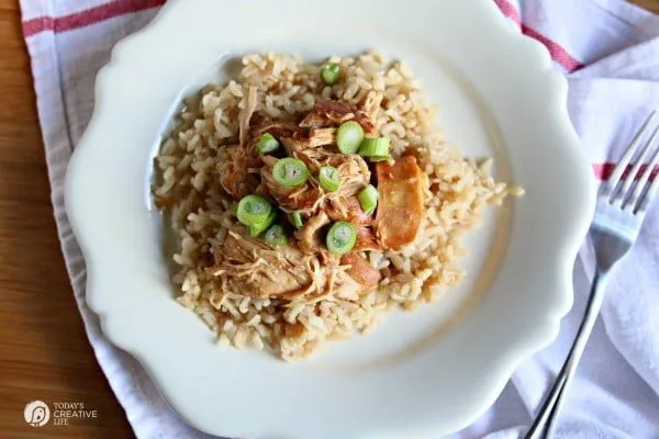 Slow Cooker Teriyaki Chicken | Crockpot meals are the best idea ever! This is a healthy family favorite dinner idea great for weekdays or weekends. Get the recipe on TodaysCreativeLife.com