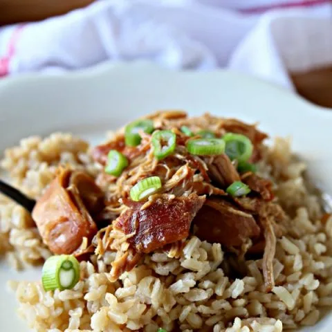 Crockpot Teriyaki Chicken Recipe