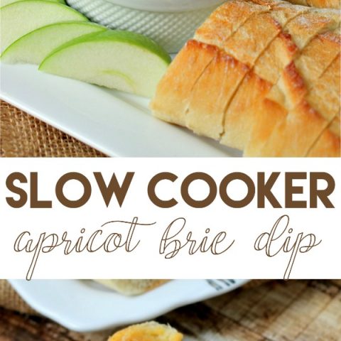 Slow Cooker Apricot Brie Dip
