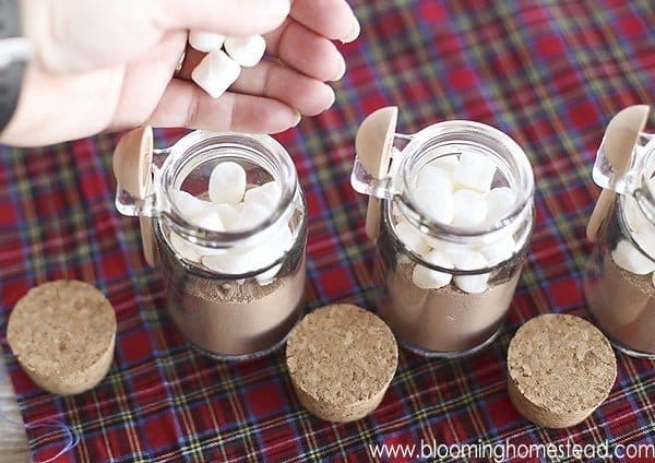 Mini Hot Cocoa Jars Gift Idea by Blooming Homestead for the Creative Girls Holiday Soiree on Today's Creative Life. See more ideas for holiday decorating, recipes, holiday diy gift ideas and more. TodaysCreativeLIfe.com