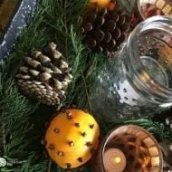 Orange Clove Natural Holiday Centerpiece