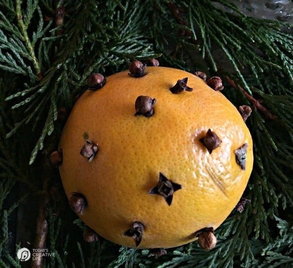 Orange Clove Natural Holiday Centerpiece | If you're looking for a simple, yet beautiful holiday decorations, here you go! Look to nature for your easy decorating solutions. It's fragrant and classic. See more on TodaysCreativeLife.com