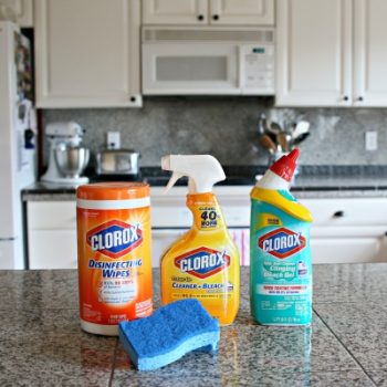 5 Germiest Hot Spots in your Home plus a few more! Find out things you may be missing on your cleaning routine! A recent study found a strain of the flu virus was present on 60% of common household items in homes with just one sick kid? See my full Germ list!