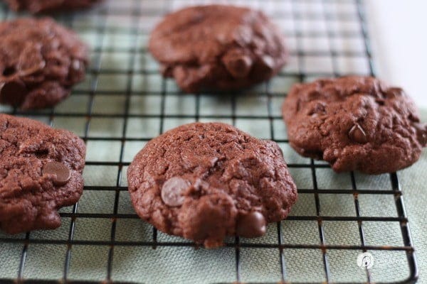 Cake Mix Chocolate Chocolate Chip Cookies 