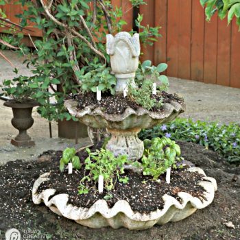 Planting an Herb Garden | Create a unique herb garden using an old fountain and eco scraps potting soil. Make your own DIY garden stakes from polymer clay for an easy craft. Tutorial on TodaysCreativeLife.com