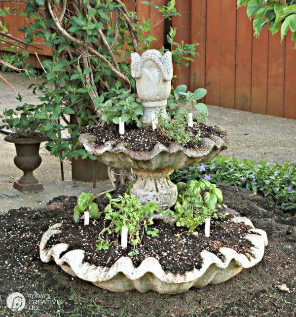 Planting an Herb Garden | Create a unique herb garden using an old fountain and eco scraps potting soil. Make your own DIY garden stakes from polymer clay for an easy craft. Tutorial on TodaysCreativeLife.com