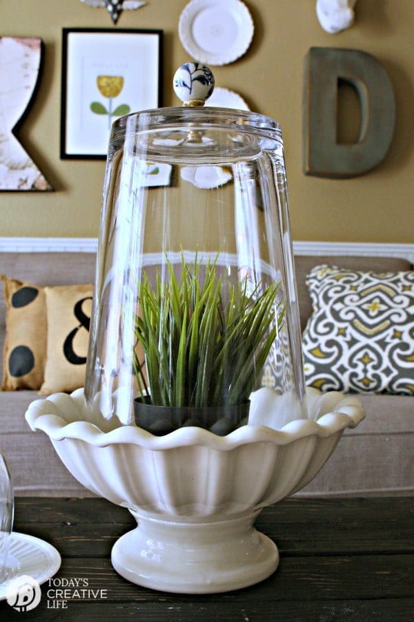 DIY Cloche Jars | Make your own Cloche Jars for diy decorating. Click on the photo for the tutorial and supply list. TodaysCreativeLIfe.com