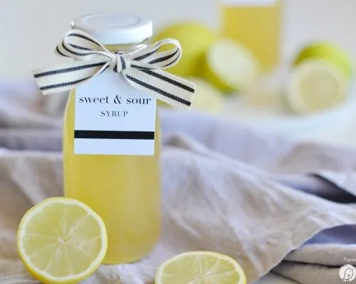 Homemade Lemon Syrup & Printable Gift Tags | Using the Cricut, you can create stylish gift tags for this delicious Lemon sweet and sour syrup. Homemade gifts are always welcome. Get your free design on TodaysCreativeLife.com