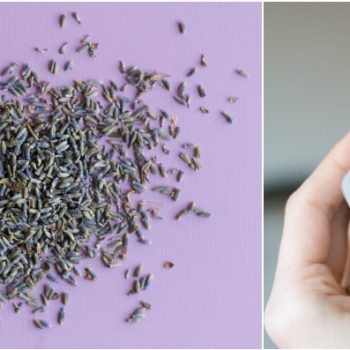 DIY Lavender Dryer Bags | Create dryer bags with dried lavender for fresh smelling lavender! Easy DIY Craft idea. Click the photo for the step by step tutorial.
