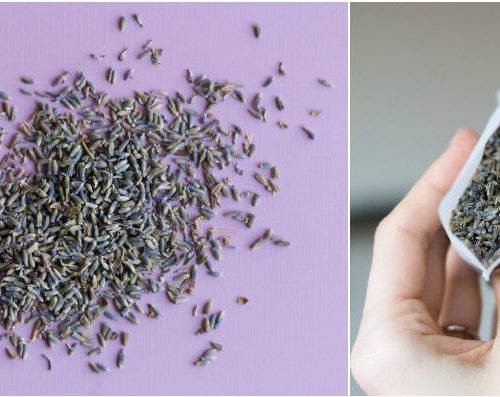 DIY Lavender Dryer Bags | Create dryer bags with dried lavender for fresh smelling lavender! Easy DIY Craft idea. Click the photo for the step by step tutorial.